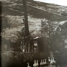 Load image into Gallery viewer, David Bailey: If We Shadows by David Bailey