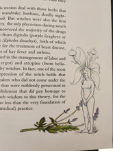 Load image into Gallery viewer, Witches by Erica Jong, Illustrated by Joseph A. Smith (First Edition)