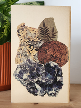 Load image into Gallery viewer, The Hamlyn Guide to Minerals, Rocks and Fossils by W.R Hamilton, A.R. Woolley, A.C. Bishop