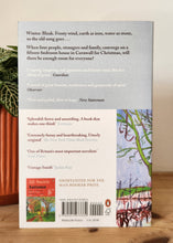 Load image into Gallery viewer, Winter by Ali Smith