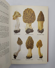 Load image into Gallery viewer, Collins Guide to Mushrooms & Toadstools by Morten Lange, F. Bayard Hora (Including Signed Letter)