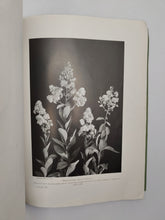 Load image into Gallery viewer, The Living Plant in Leaf, Flower and Fruit by A.E. Knight, Edward Step