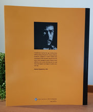 Load image into Gallery viewer, A Tourist in Paradise Lost: The Art of Michael Illingworth by Kevin Ireland, Aaron Lister, Damian Skinner