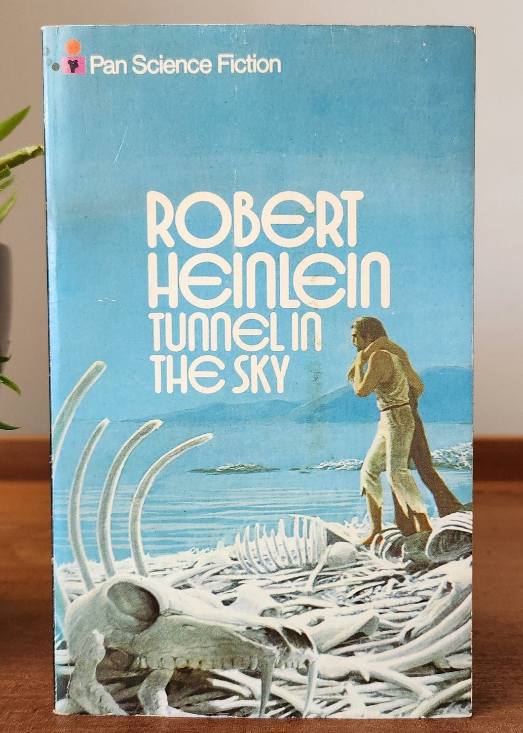Tunnel in the Sky by Robert Heinlein