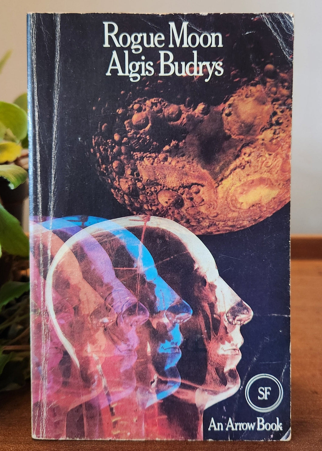 Rogue Moon by Algis Budrys