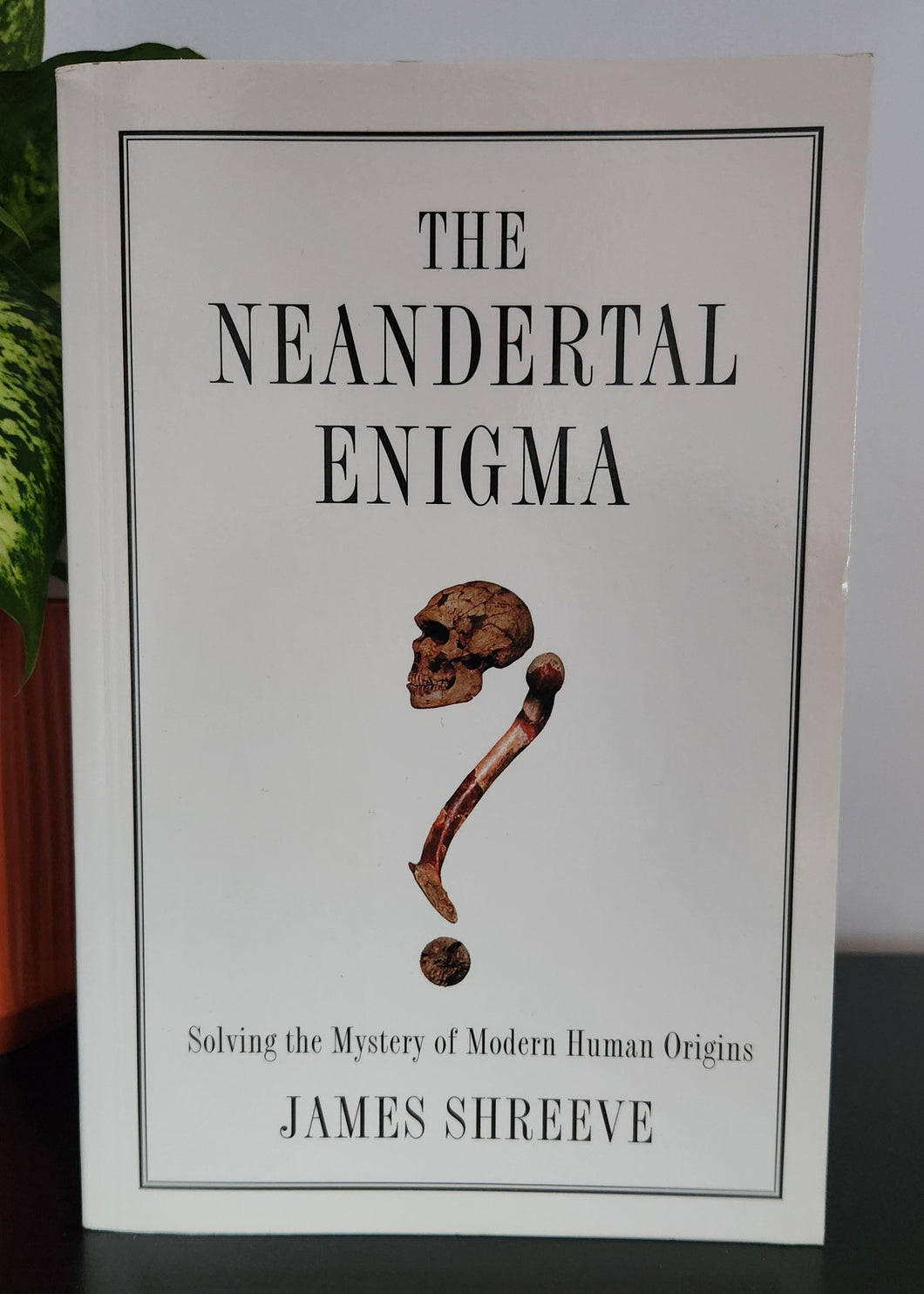 The Neandertal Enigma: Solving the Mystery of Modern Human Origins by James Shreeve