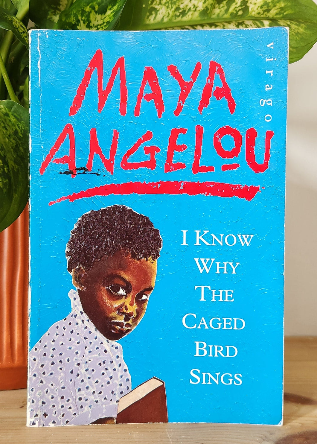 I Know Why the Caged Bird Sings by Maya Angelou
