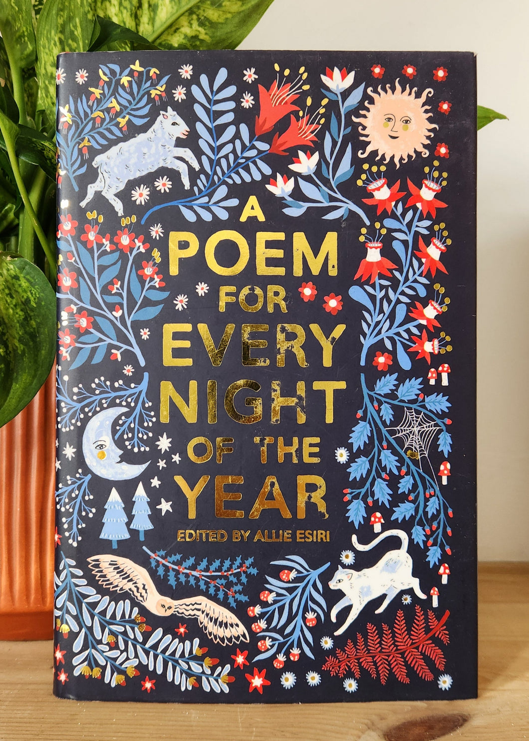 A Poem for Every Night of the Year by Allie Esiri