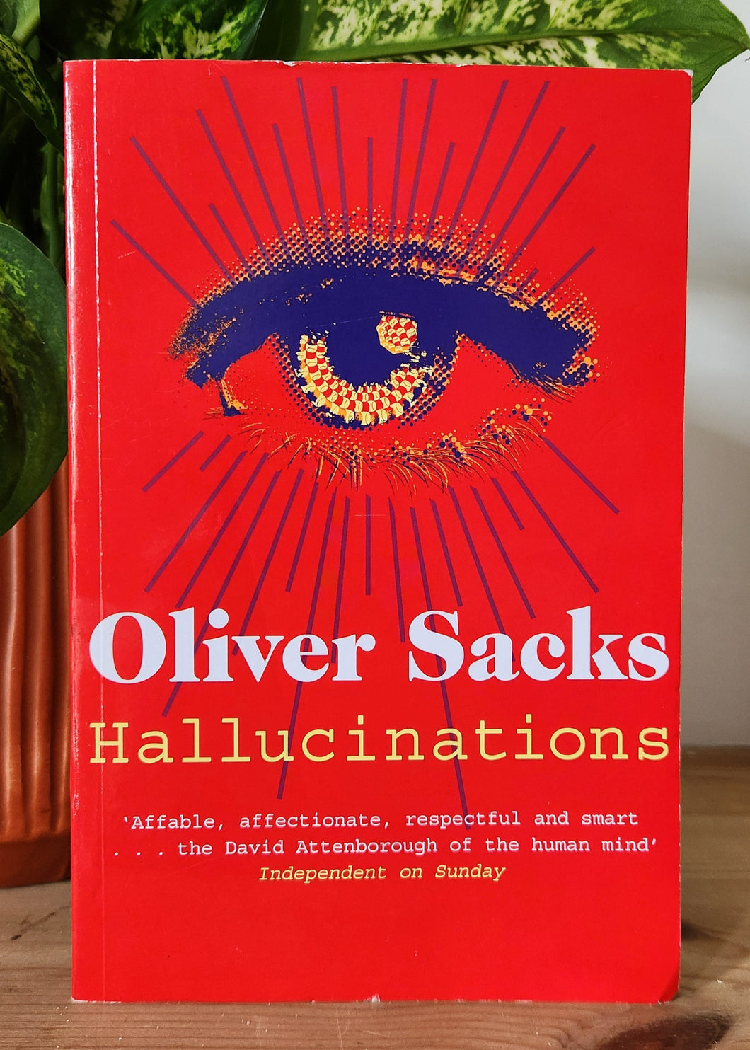Hallucinations by Oliver Sacks