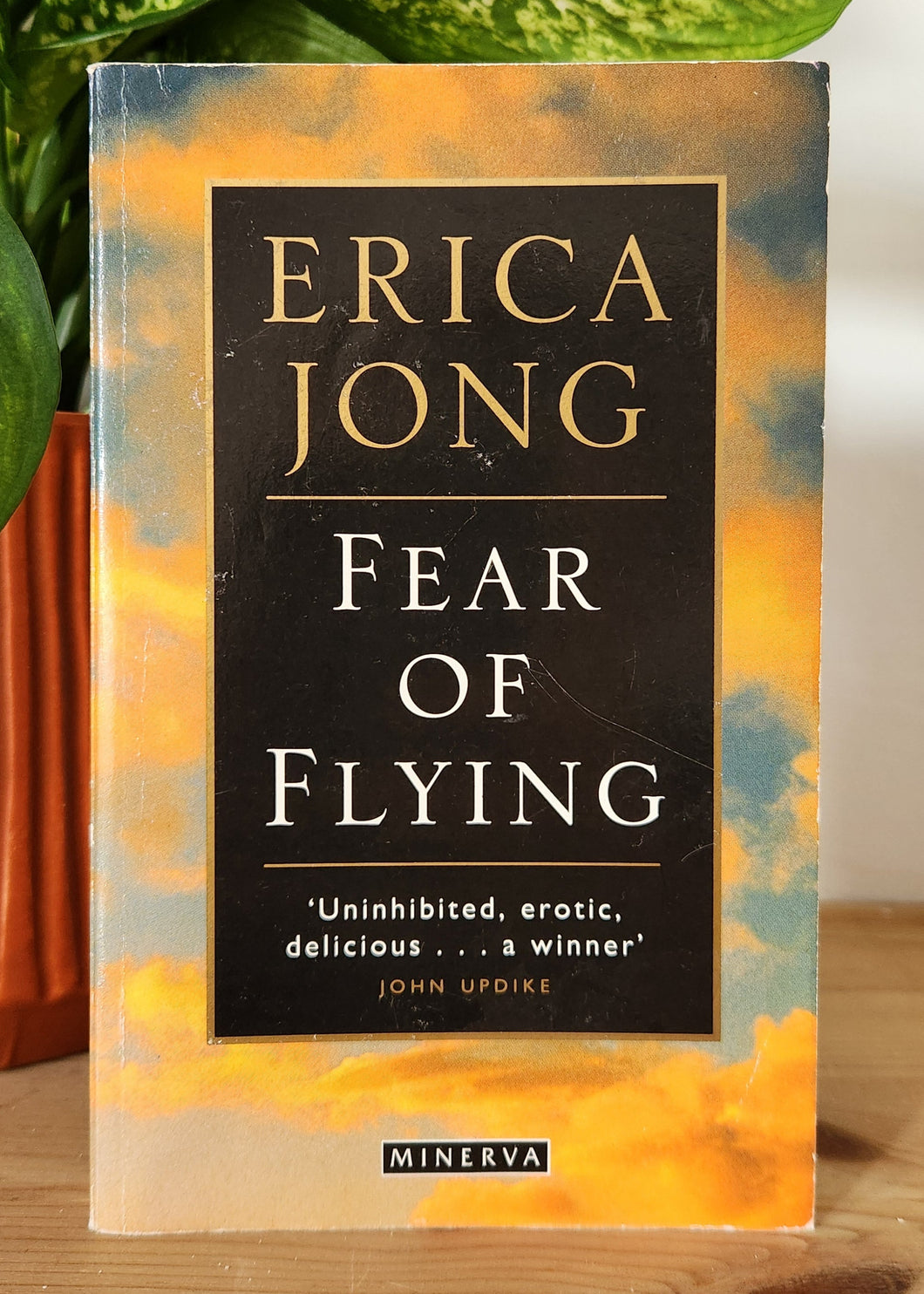 Fear of Flying by Erica Jong