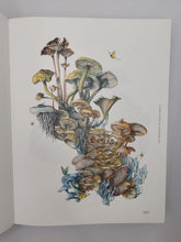 Load image into Gallery viewer, Fungal Inspiration: Art and Illustration Inspired by Wild Nature

