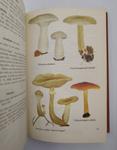 Load image into Gallery viewer, Collins Guide to Mushrooms &amp; Toadstools by Morten Lange, F. Bayard Hora (Including Signed Letter)
