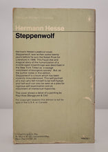 Load image into Gallery viewer, Steppenwolf by Hermann Hesse
