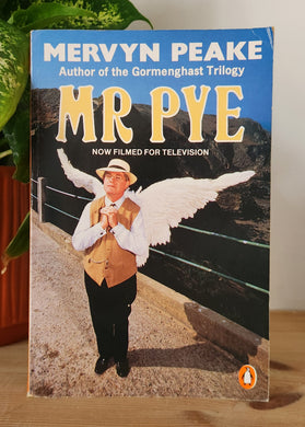 Book titled 'Mr Pye' by Mervyn Peake on a wooden surface with a plant in the background.