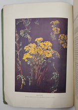 Load image into Gallery viewer, The Living Plant in Leaf, Flower and Fruit by A.E. Knight, Edward Step
