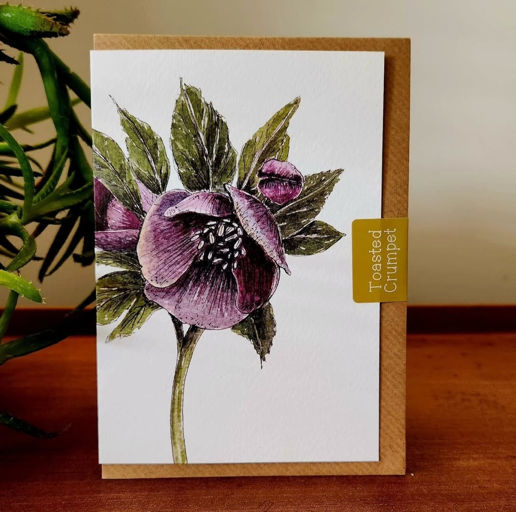 Toasted Crumpet - Hellebore Greeting Card