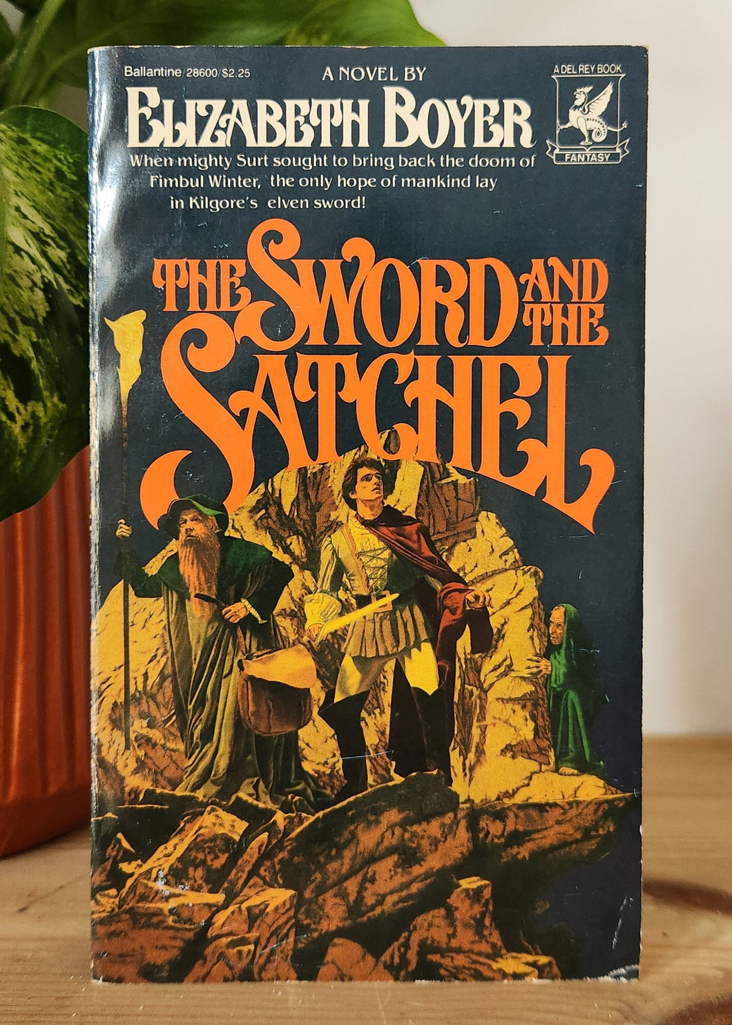 The Sword and the Satchel by Elizabeth Boyer