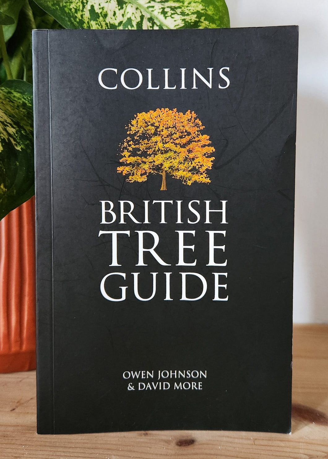 Collins British Tree Guide by Owen Johnson, David More