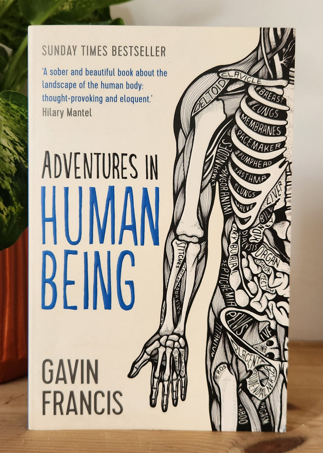 Adventures in Human Being by Gavin Francis