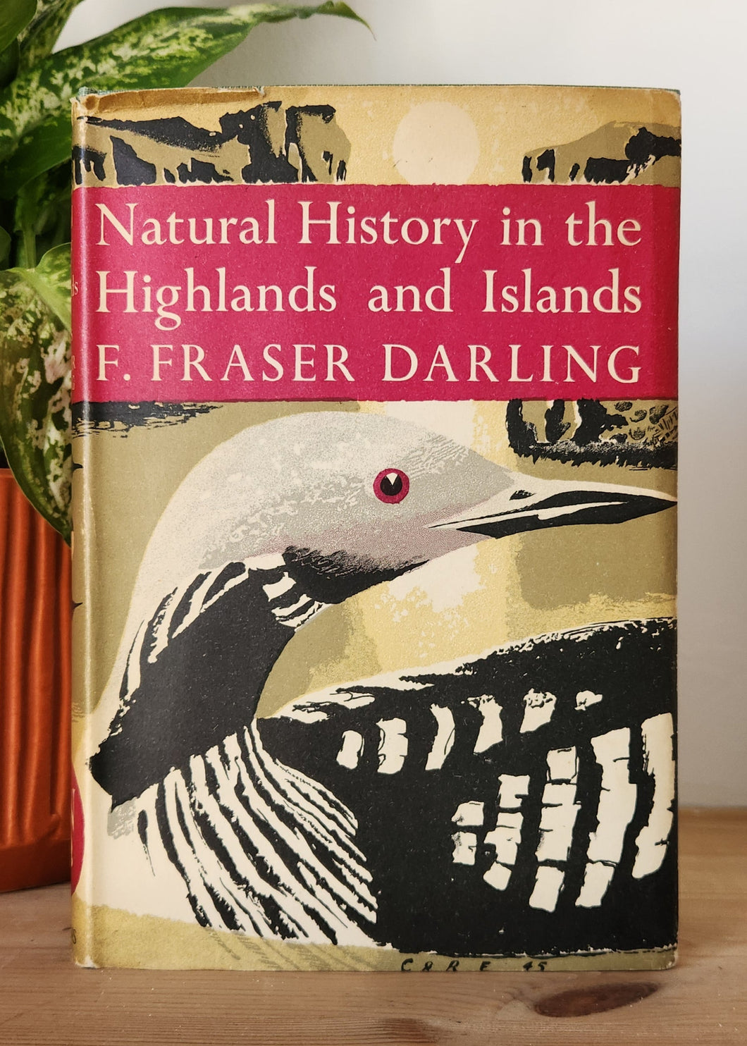 Natural History in the Highlands and Islands by F. Fraser Darling (First Edition)