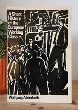 Load image into Gallery viewer, A Short History of the European Working Class by Wolfgang Abendroth
