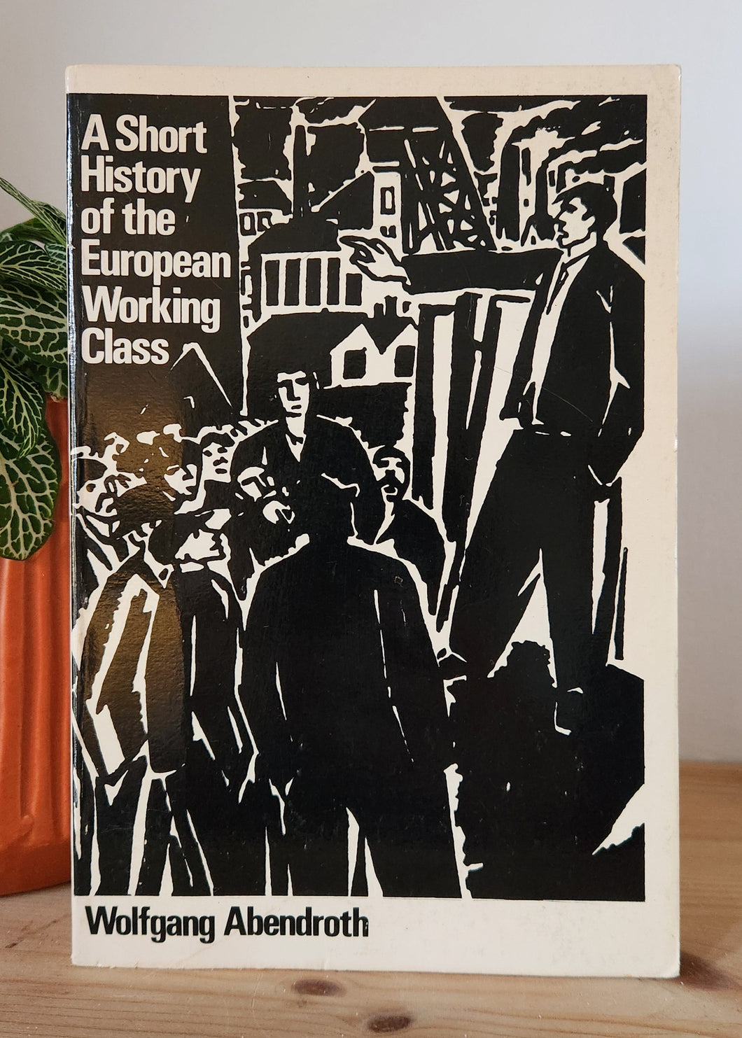 A Short History of the European Working Class by Wolfgang Abendroth