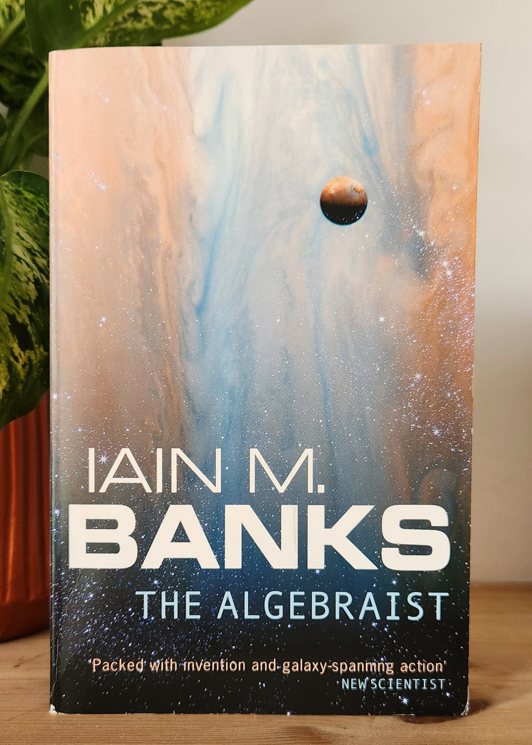 The Algebraist by Iain M. Banks