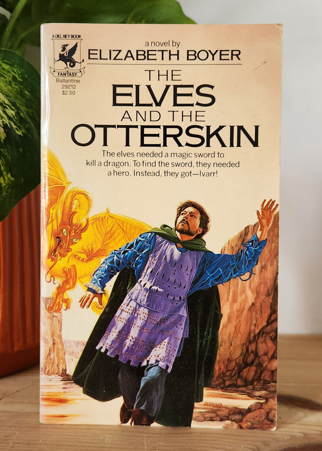 The Elves and the Otterskin by Elizabeth Boyer