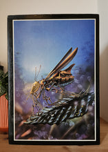 Load image into Gallery viewer, The Science Fiction and Fantasy World of Tim White
